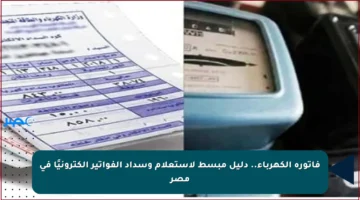 فاتورة الكهرباء.. دليل مبسط لاستعلام وسداد الفواتير إلكترونيًا في مصر